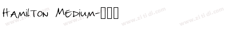Hamilton Medium字体转换